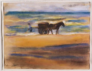 Cercatori di conchiglie sulla spiaggia