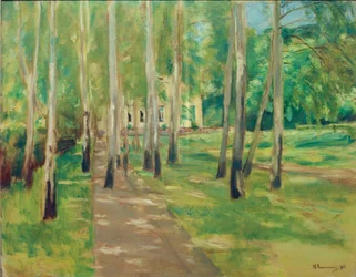 Giardino di Wannsee con viale di betulle