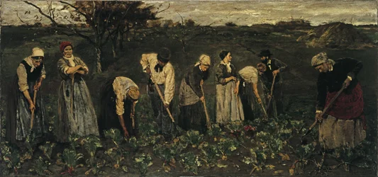Lavoratori nel campo di barbabietole