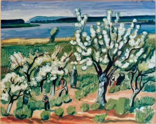 Fioritura degli alberi sul lago