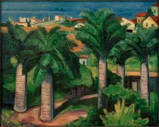 Palme a Collioure