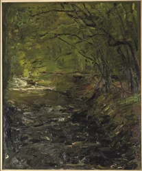 Un ruscello nella foresta