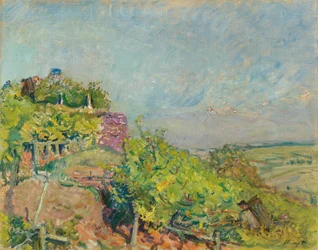 Tedesco: Vendemmia vicino a Neukastel