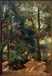 Tomba con macchie di sole