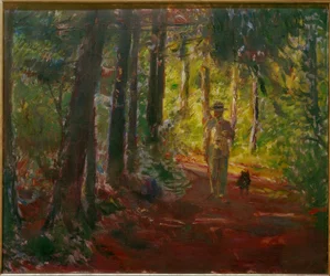 Uomo su un sentiero nel bosco