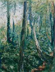 Sentiero nel bosco