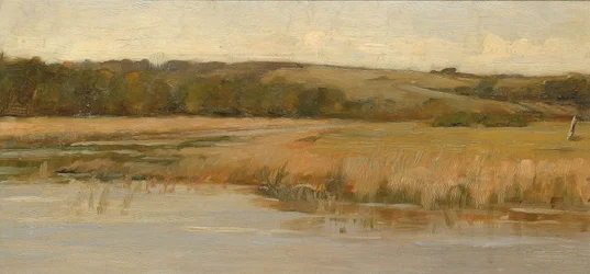 Collina e palude