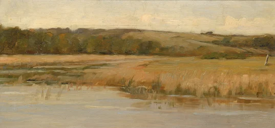 Collina e Palude, fine XIX-inizio XX secolo
