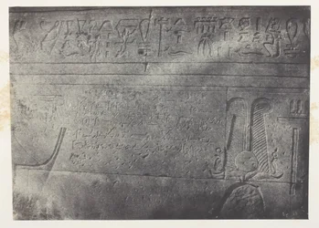 Grande Tempio di Iside a Philoe, iscrizione demotica; Nubia, lastra 76 dall