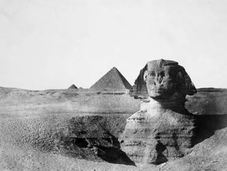 La Grande Sfinge e le Piramidi di Giza, Egitto, 1852