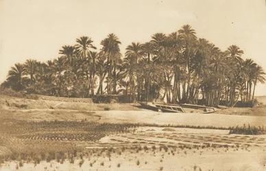 Vue de l