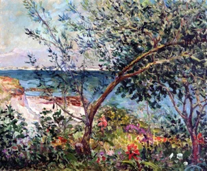 Il giardino dell