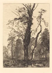 In un Parco
