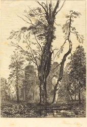 In un parco