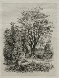 Il mio giardino
