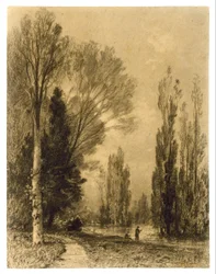 Paesaggio fluviale di sera