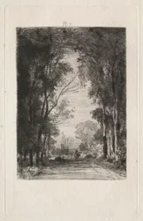 Viaggiatore su una strada in una foresta