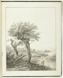 Studi di alberi per artisti paesaggisti principianti