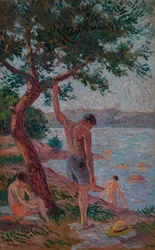 Saint-Tropez, bagnanti sotto la pineta