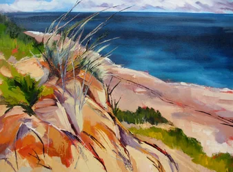 Erba di mare e dune