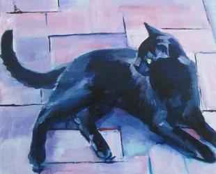 Gatto nero, pavimento viola
