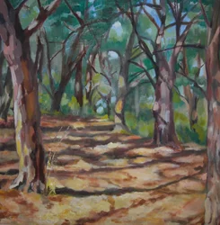 Sentiero nella foresta screziata