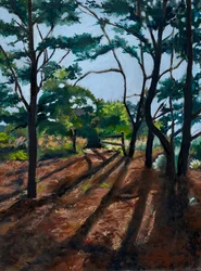 Sentiero nel bosco, lunghe ombre