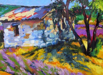 Estate in Provenza