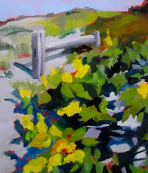 Sentiero soleggiato con fiori gialli