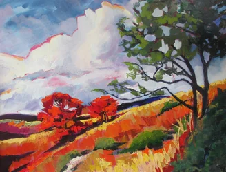 Colline autunnali dai colori vivaci