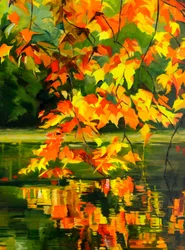 Riflessi vivaci d