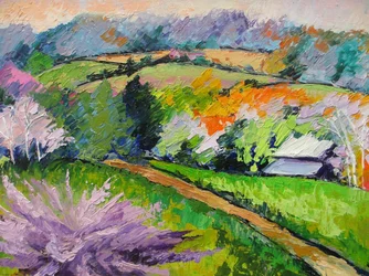 Sentiero immerso nella vivace campagna