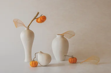 Elegante natura morta autunnale