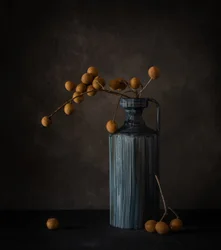 Natura morta con longan