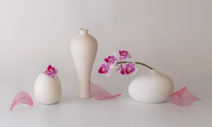 Natura morta con orchidee rosa