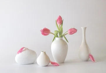 Tulipani rosa in vasi