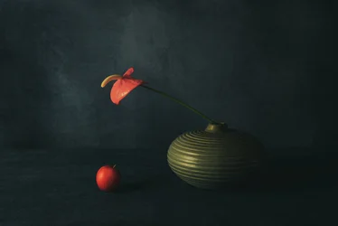 Natura morta con anthurium rosso