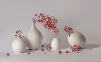 Bacche rosse, vasi bianchi