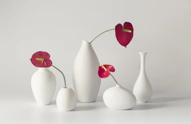 Serena composizione di anthurium