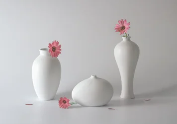 Sereni vasi floreali