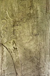 (dettaglio)