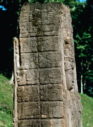 Dettaglio di una stele della Grande Piazza