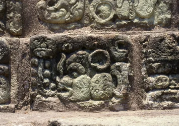 Glifo della città di Copan sulla Scalinata Geroglifica, Periodo Classico Tardo (600-900) c.760 d.C.