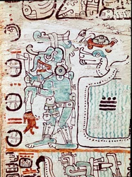 Il codice di Madrid o codice tro cortesianus