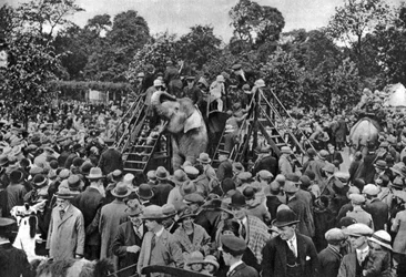 Giri in elefante allo Zoo di Londra, 1926-1927