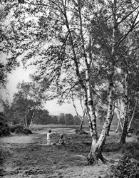 Putney Heath, Londra, 1926-1927