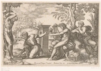 Apollo e Marsia
