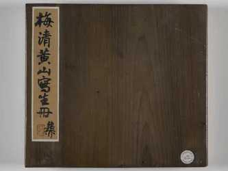 12 vedute di Huangshan
