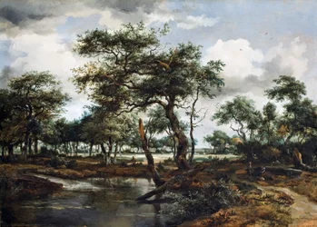 Uno stagno nella foresta, 1668