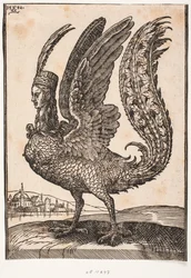 Animale mitico non identificato, arpia o sirena